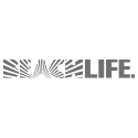 FREQUIN Beachlife logo
